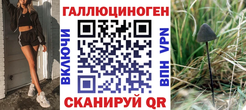 Псилоцибиновые грибы прущие грибы  Теберда 